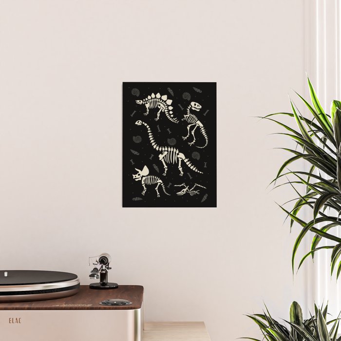 Dinosaur Fossils on Black Poster Gallery Image 2