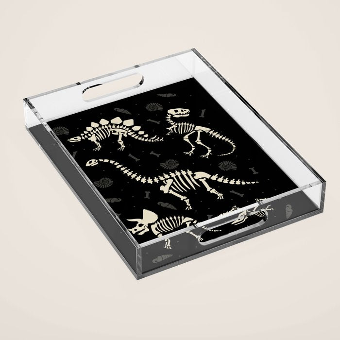 Dinosaur Fossils on Black Acrylic Tray Gallery Image 1