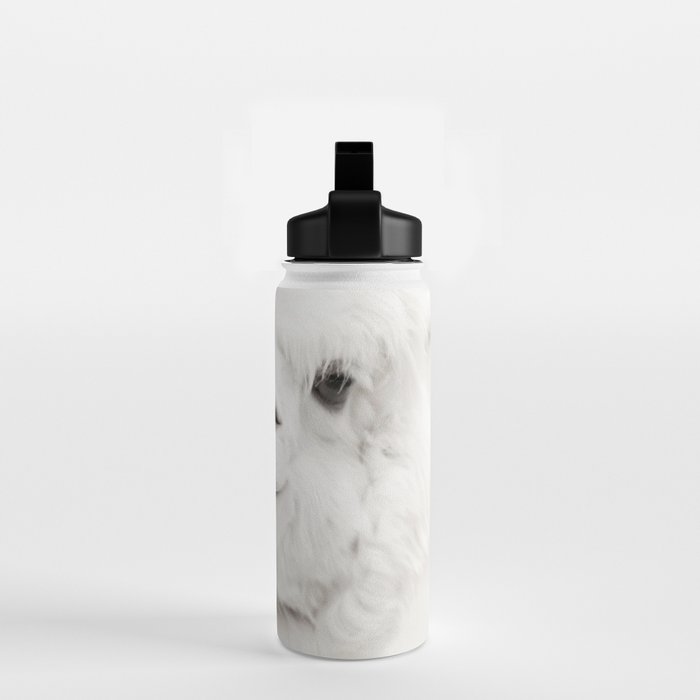 SMILING ALPACA Water Bottle Gallery Image 2