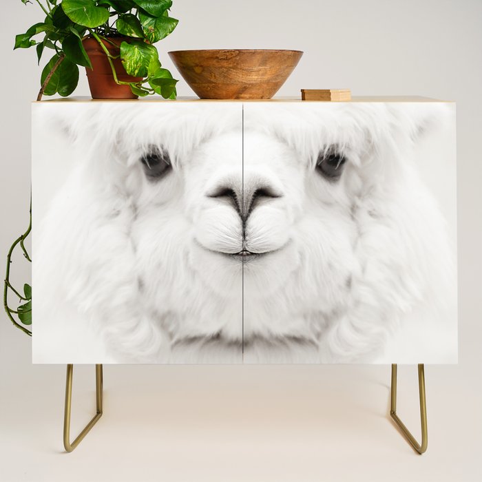 SMILING ALPACA Credenza Gallery Image 1