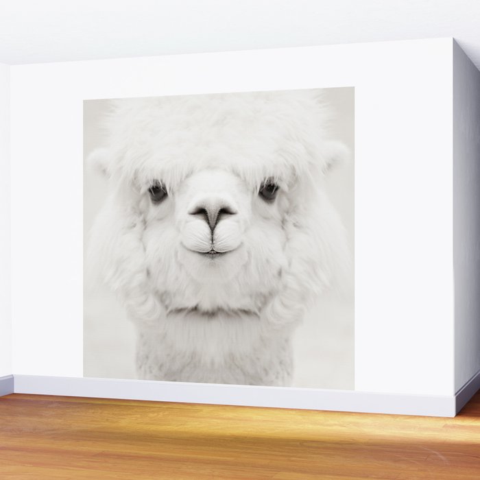 SMILING ALPACA Wall Mural Gallery Image 2
