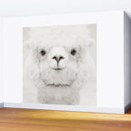SMILING ALPACA Wall Mural Gallery Image 2