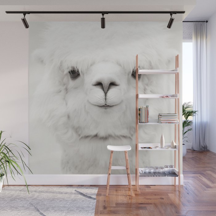 SMILING ALPACA Wall Mural Gallery Image 1