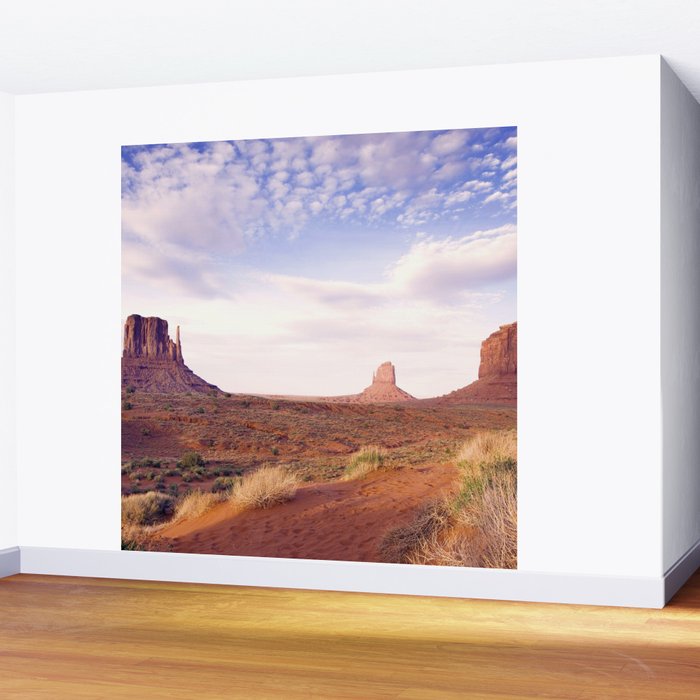 Monument Valley View, Arizona, color photographic National Park art print Wall Mural Gallery Image 2
