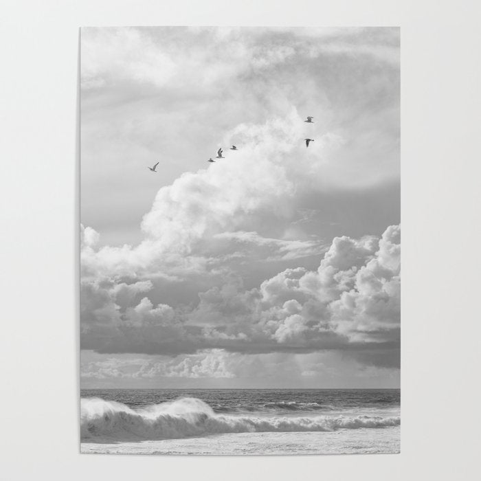 Seagulls in Nazaré Photo | Black and White Travel Photography in Portugal | Clouds and Waves Nature Art Print Poster Gallery Image 4