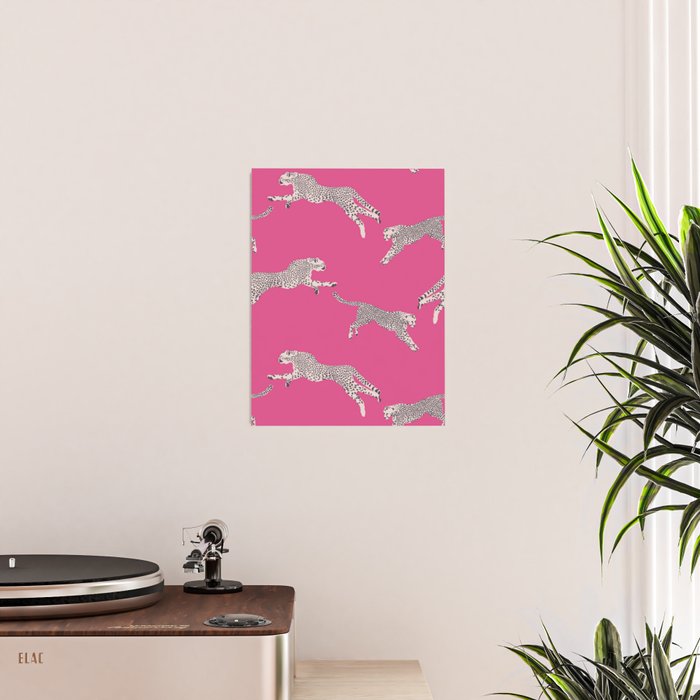 Leaping Cheetahs  Magenta Poster Gallery Image 2