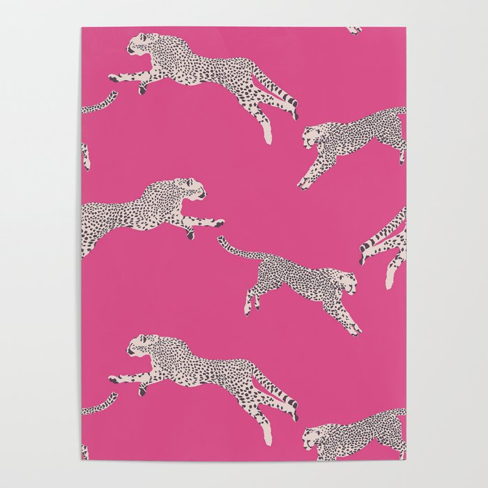 Leaping Cheetahs  Magenta Poster Gallery Image 1