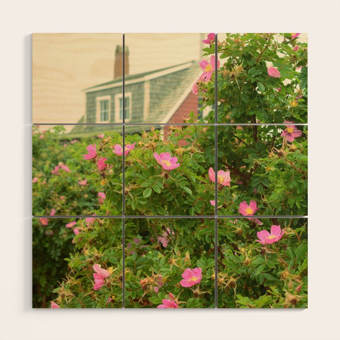 Beach Roses Wood Wall Art Gallery Image 1