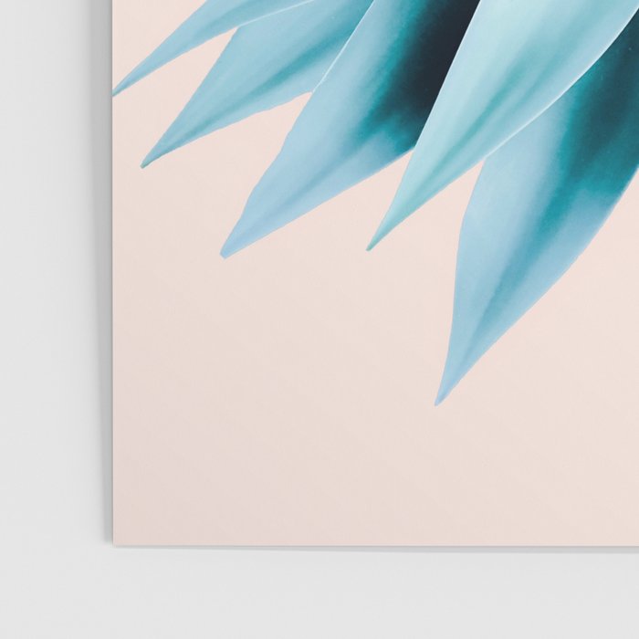 Agave mandala Poster Gallery Image 3