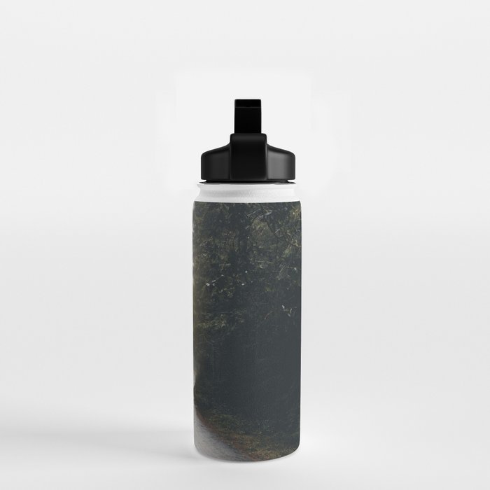 Redwood Forest Adventure 2022 - Nature Photography Water Bottle Gallery Image 2