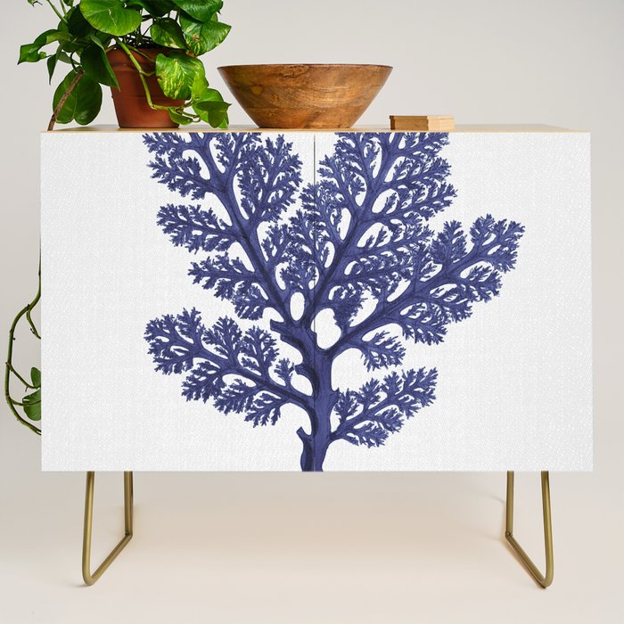 Seaweed 2 Credenza Gallery Image 1