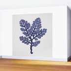 Seaweed 2 Wall Mural Gallery Image 2