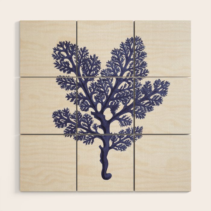 Seaweed 2 Wood Wall Art Gallery Image 1