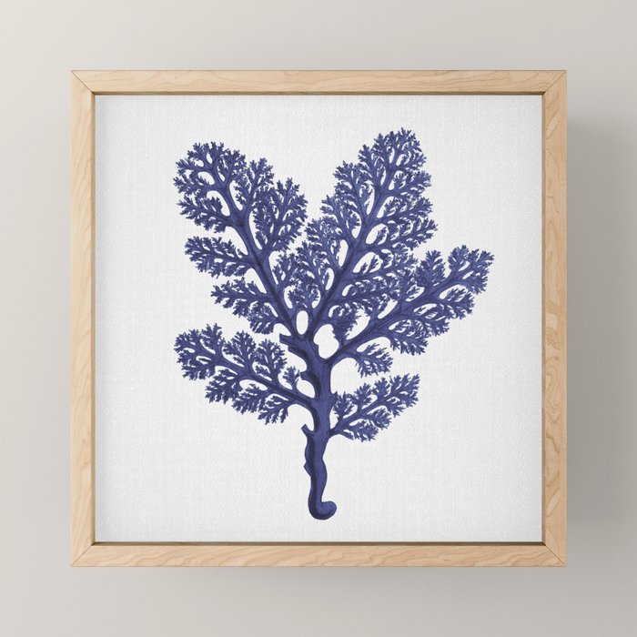 Seaweed 2 Mini Art Print Gallery Image 1