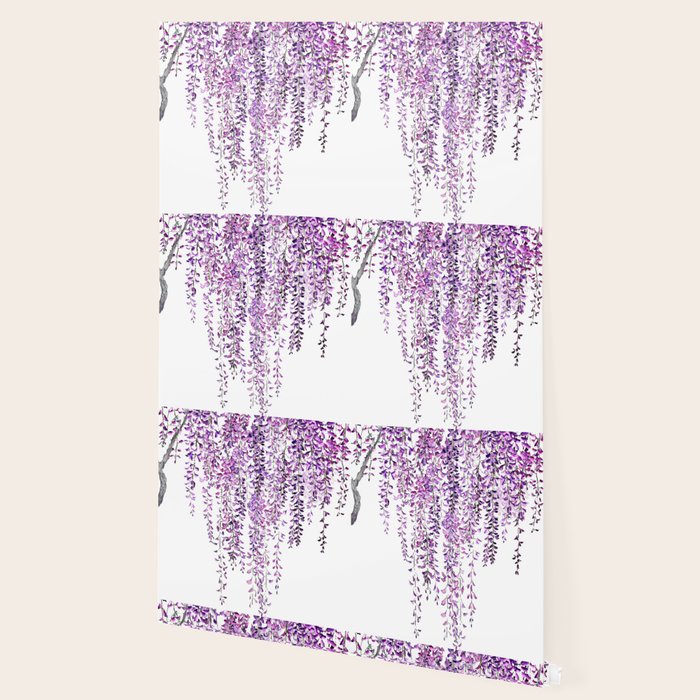 purple wisteria in bloom Wallpaper Gallery Image 2