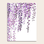 purple wisteria in bloom Notebook Gallery Image 4