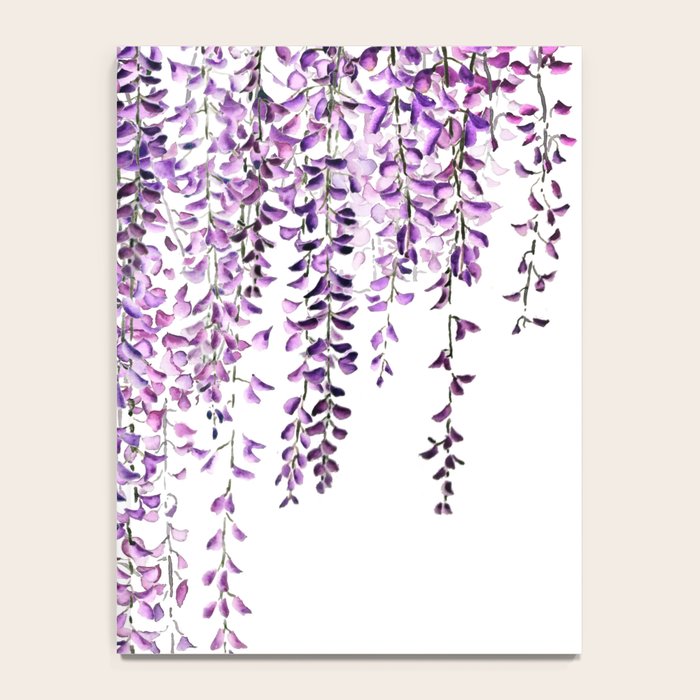 purple wisteria in bloom Notebook Gallery Image 4