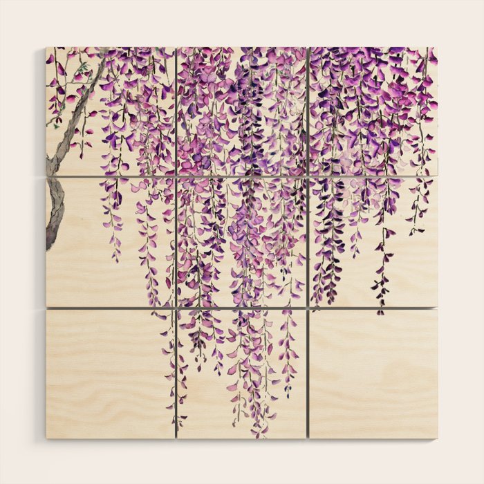 purple wisteria in bloom Wood Wall Art Gallery Image 1