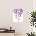 purple wisteria in bloom Poster Gallery Image 2