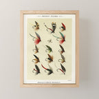 Angler Fishing Lure - Trout Fly Fishing Mini Art Print Gallery Image 1