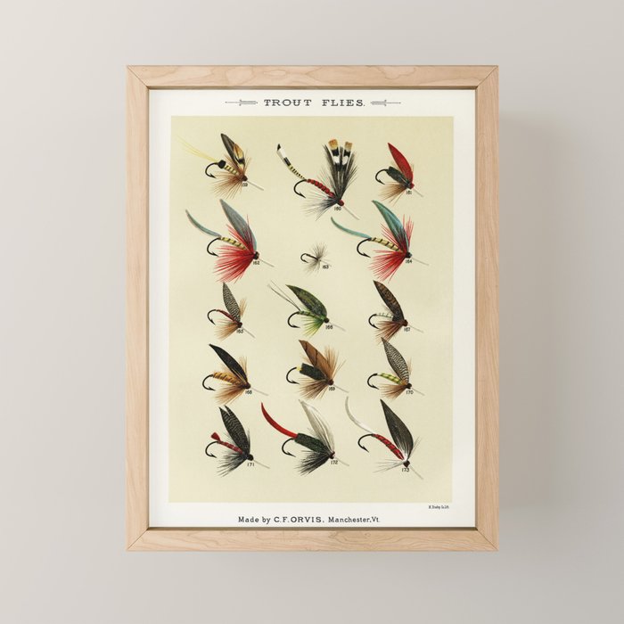 Angler Fishing Lure - Trout Fly Fishing Mini Art Print Gallery Image 1