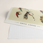 Angler Fishing Lure - Trout Fly Fishing Wrapping Paper Gallery Image 2