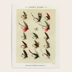 Angler Fishing Lure - Trout Fly Fishing Poster Gallery Image 4