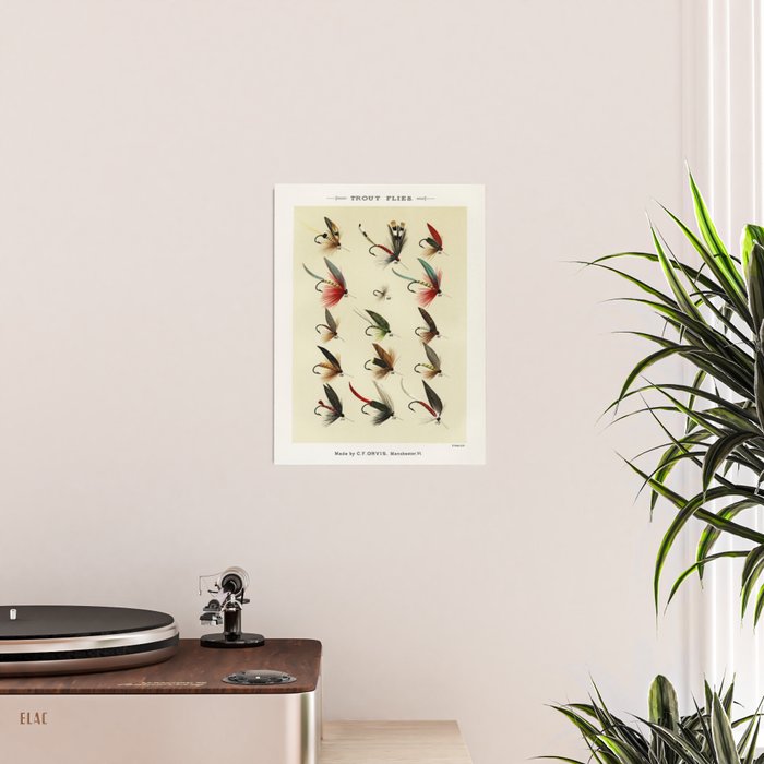 Angler Fishing Lure - Trout Fly Fishing Poster Gallery Image 2