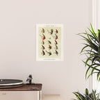 Angler Fishing Lure - Trout Fly Fishing Poster Gallery Image 2