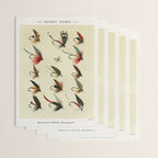 Angler Fishing Lure - Trout Fly Fishing Wrapping Paper Gallery Image 3