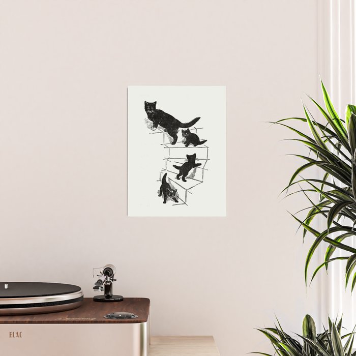 Cat With Kitten On Stairs Poster Gallery Image 2