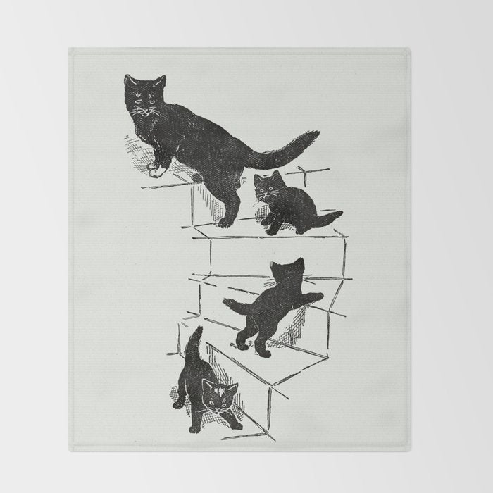 Cat With Kitten On Stairs Throw Blanket Gallery Image 2