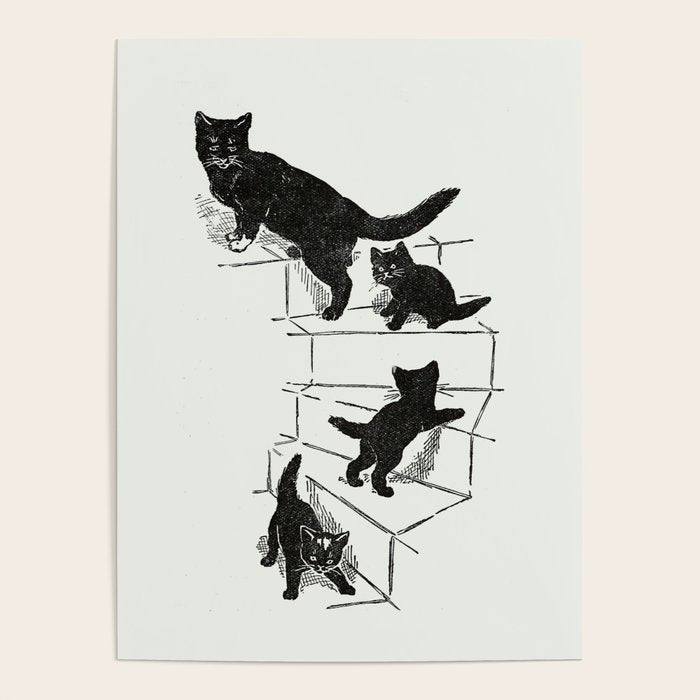 Cat With Kitten On Stairs Poster Gallery Image 4