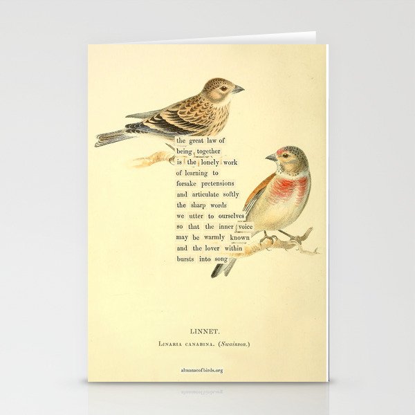 Bird Divinations: Linnet (about: almanacofbirds.org) Stationery Card Gallery Image 1