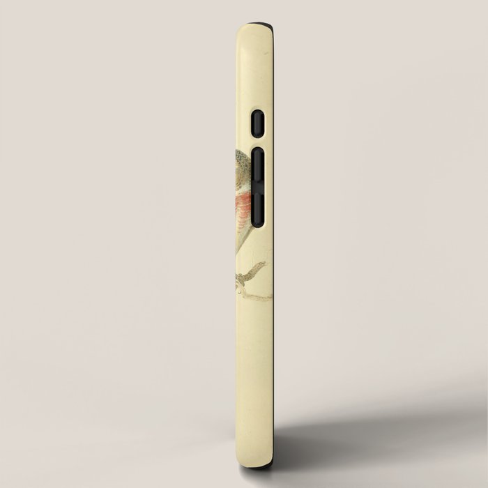 Bird Divinations: Linnet (about: almanacofbirds.org) iPhone Case Gallery Image 2