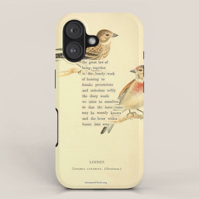 Bird Divinations: Linnet (about: almanacofbirds.org) iPhone Case Gallery Image 1