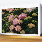 Hydrangeas Wall Mural Gallery Image 2