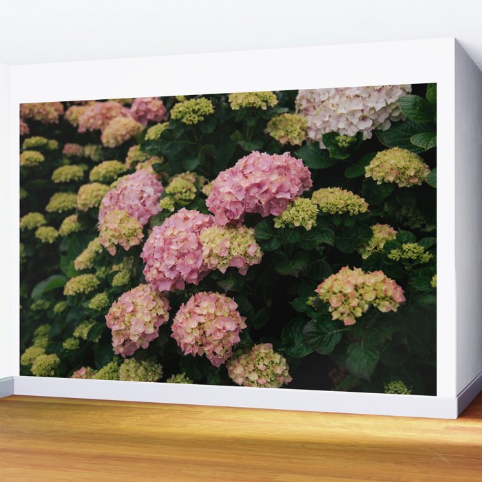 Hydrangeas Wall Mural Gallery Image 2