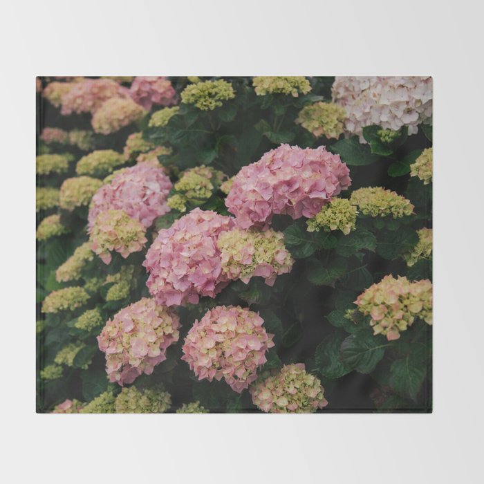 Hydrangeas Throw Blanket Gallery Image 2