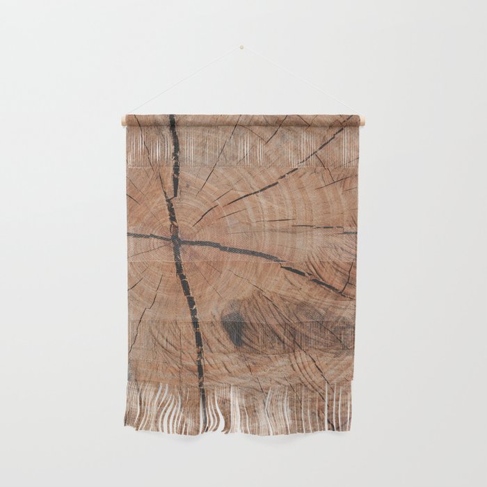 Tree Rings Rustic Cabin Lodge Raw Wood Wall Hanging Gallery Image 1