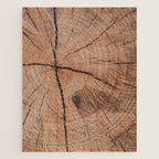 Tree Rings Rustic Cabin Lodge Raw Wood Jigsaw Puzzle Gallery Image 1