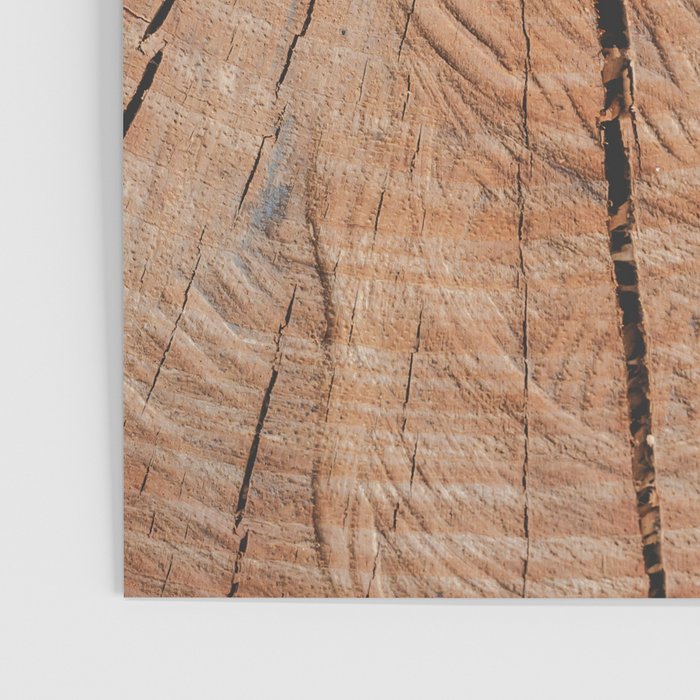 Tree Rings Rustic Cabin Lodge Raw Wood Poster Gallery Image 3