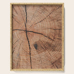 Tree Rings Rustic Cabin Lodge Raw Wood Serving Tray Gallery Image 1