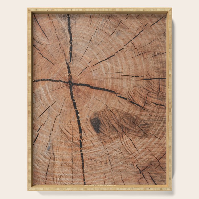 Tree Rings Rustic Cabin Lodge Raw Wood Serving Tray Gallery Image 1