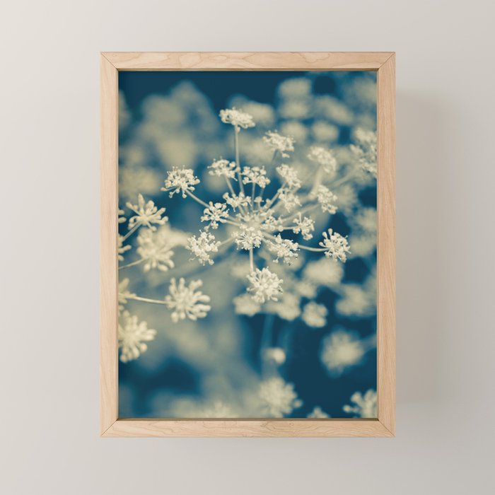 Indigo Dill Botanical Study Mini Art Print Gallery Image 1