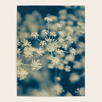 Indigo Dill Botanical Study Poster Gallery Image 4