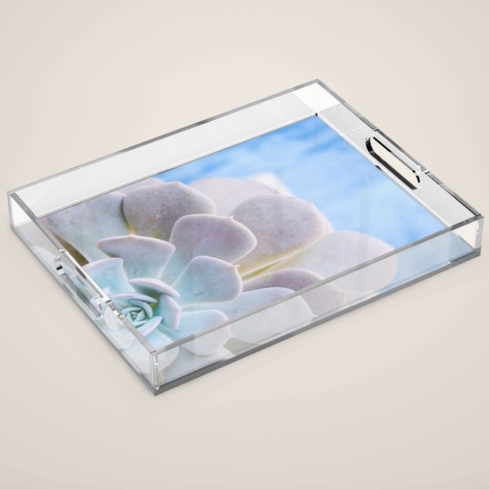 Echeveria Acrylic Tray Gallery Image 1