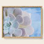 Echeveria Serving Tray Gallery Image 1