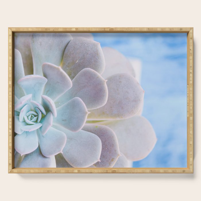 Echeveria Serving Tray Gallery Image 1