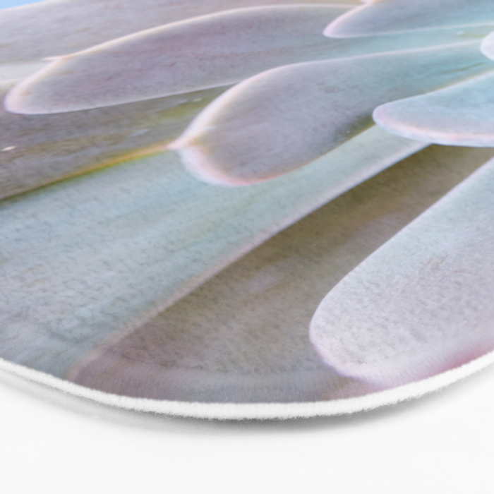 Echeveria Bath Mat Gallery Image 3